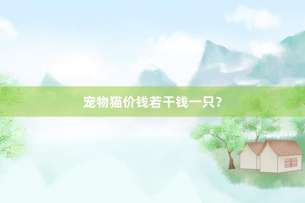 宠物猫价钱若干钱一只？