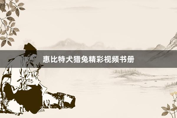 惠比特犬猎兔精彩视频书册