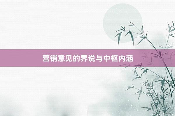营销意见的界说与中枢内涵