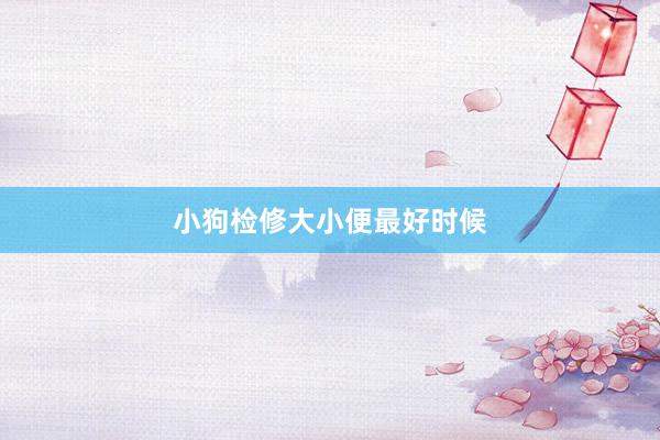 小狗检修大小便最好时候